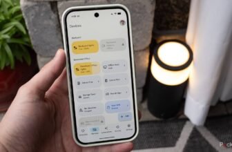 Some Pixel 10 homeowners are experiencing a irritating show glitch