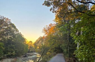 The Little Issues E-newsletter #491 – Life, laughter, and plenty of nice meals!