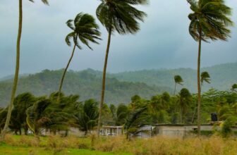 Watch These Reside Webcam Views of Jamaica as Hurricane Melissa Makes Landfall