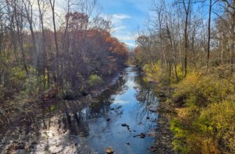 The Little Issues E-newsletter #497 – Life, laughter, and many nice meals!