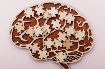 The Scientists Who Need to Rewire Your Previous to Repair the Current