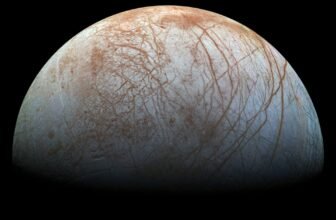 Life on Europa May Feed On This Surprising Supply of Vitality