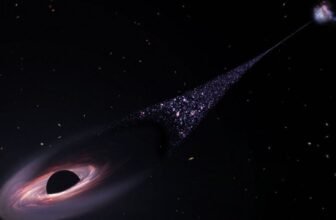 Runaway Black Gap Escapes Its Galaxy—and It is Leaving Child Stars in Its Wake