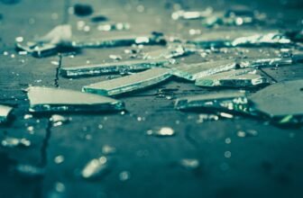 That Plate You Simply Dropped Adopted a Weirdly Predictable Rule You’ve By no means Heard Of