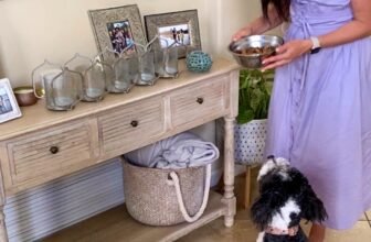 Wholesome do-it-yourself pet food recipe