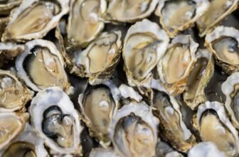 Uncooked Oysters Behind Salmonella Outbreak Sweeping Throughout the US, CDC Warns