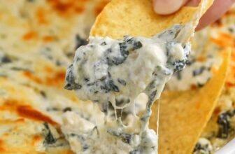 12 Finest Occasion Appetizer Dips